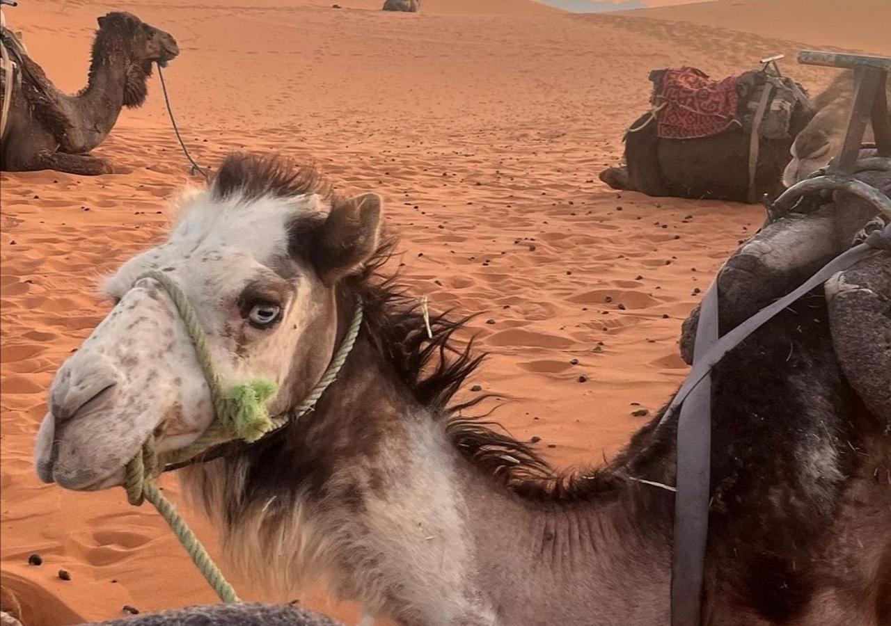 Amazing Luxury Camp Otel Merzouga Dış mekan fotoğraf