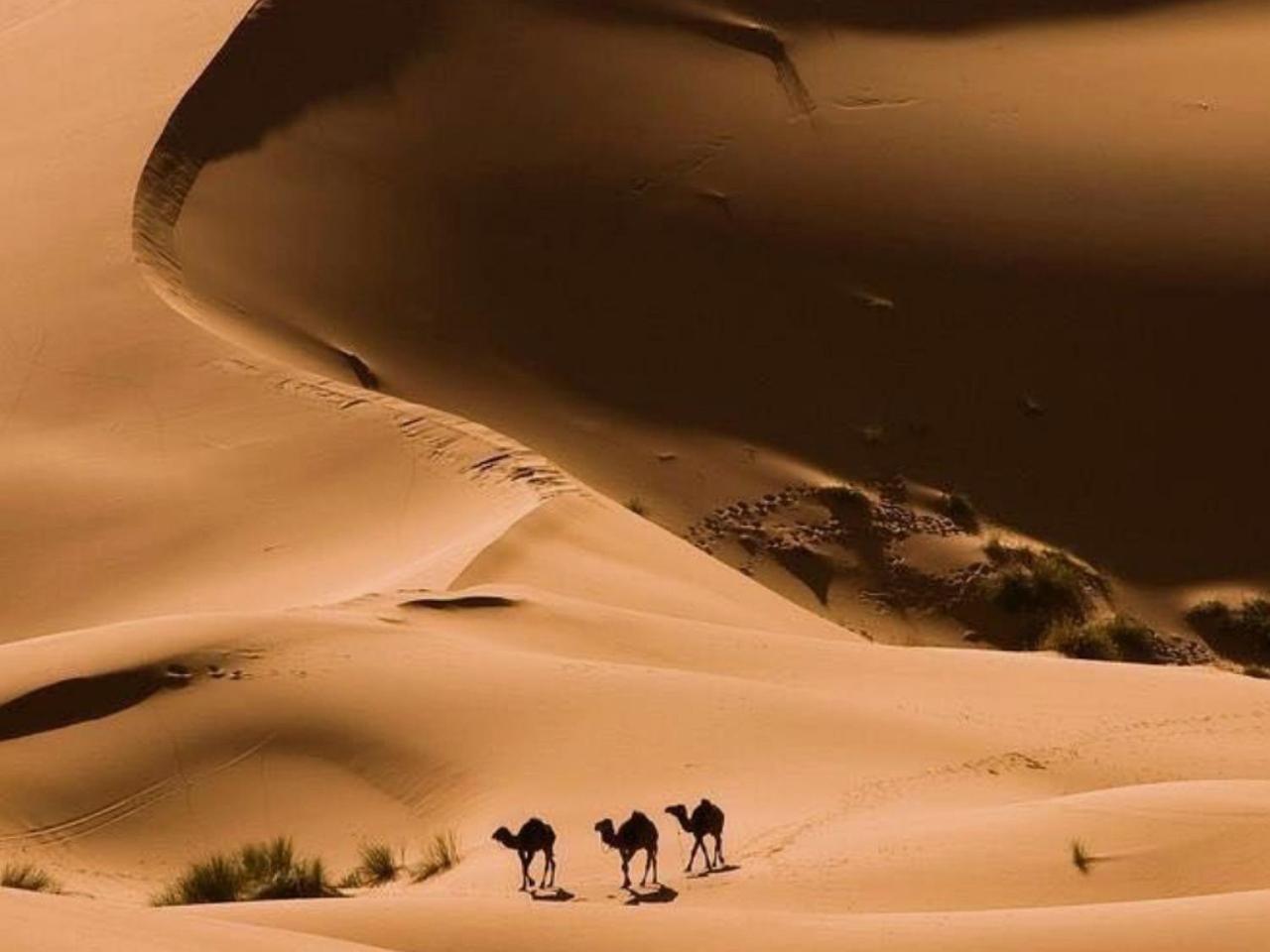 Amazing Luxury Camp Otel Merzouga Dış mekan fotoğraf